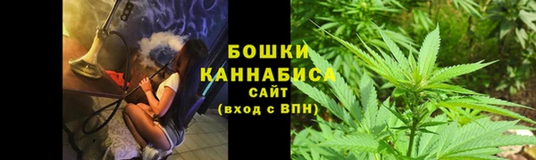 PSILOCYBIN Аркадак