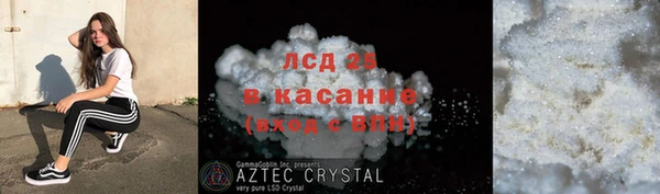 стафф Осташков
