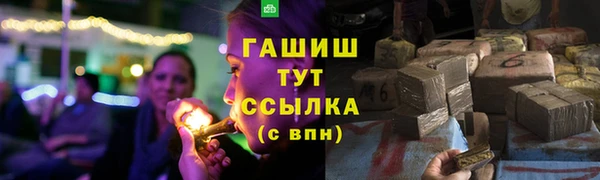 PSILOCYBIN Аркадак