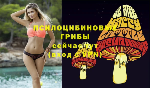 спайс Арсеньев