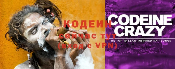 PSILOCYBIN Аркадак