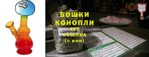 спайс Арсеньев